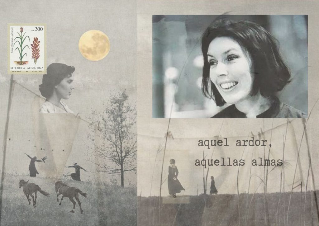 collague con fotografía de la escritora argentina Sara Gallardo. Libro de relatos El país del humo