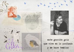 collague con fotografía y firma de la escritora y poeta italiana Alda Merini