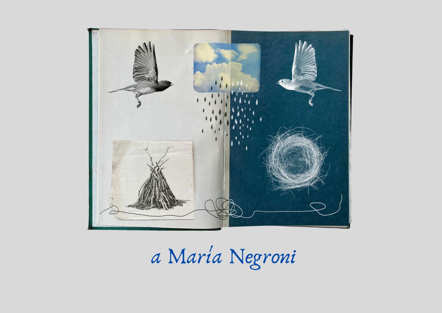 obra artística de Fiona Watson