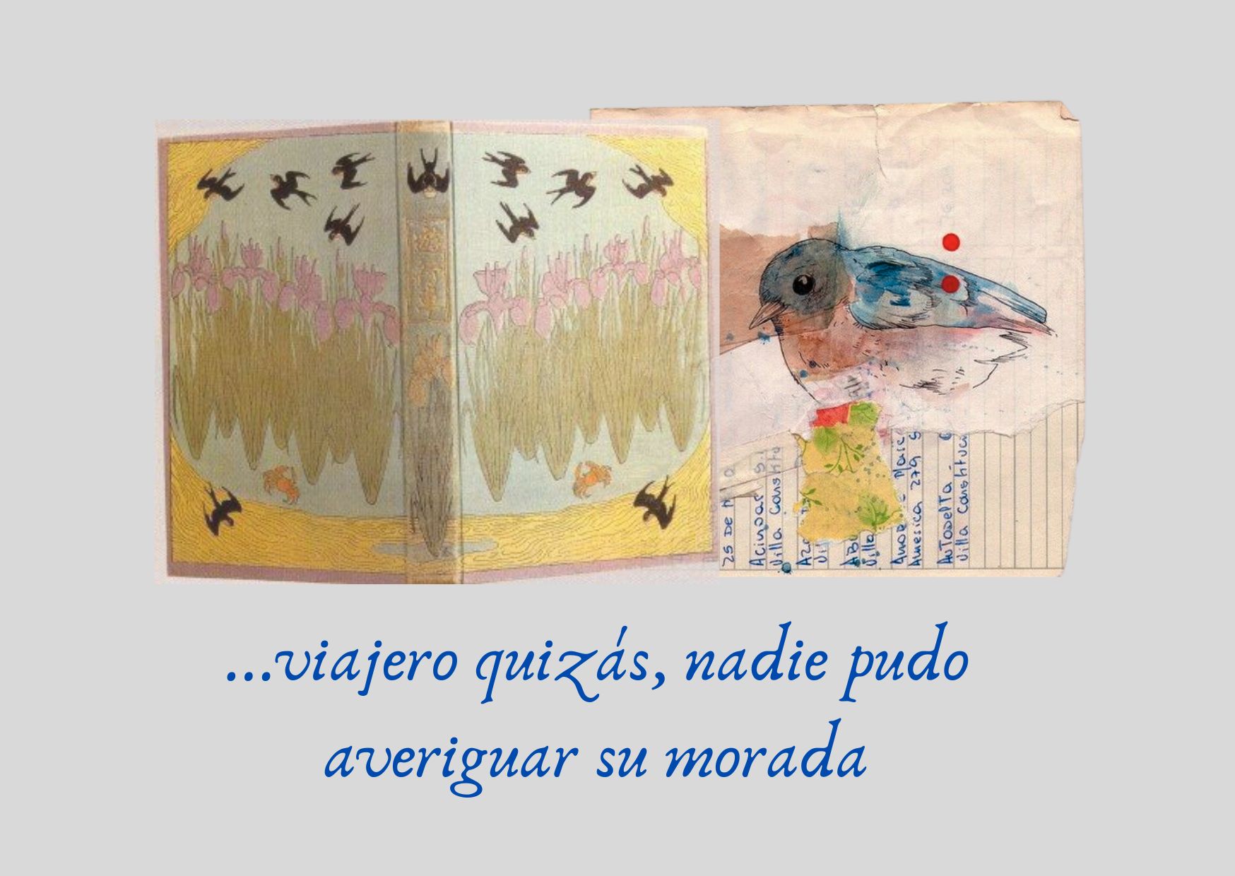 deseo, animal extraño