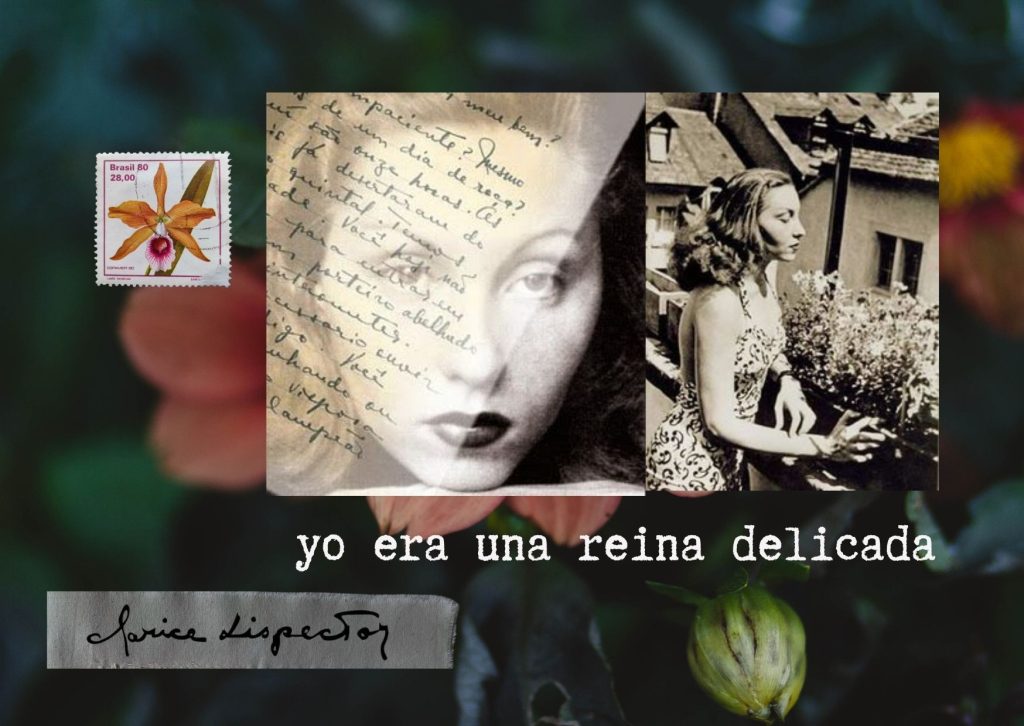 fotografías de la escritora brasileña Clarice Lispector, cuento felicidad clandestina, 1971