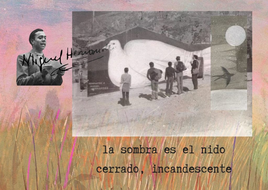 poema Hijo de la luna y la sombra, Romancero de canciones y ausencias, homenaje, fotografía Miguel Hernández, poema, carta