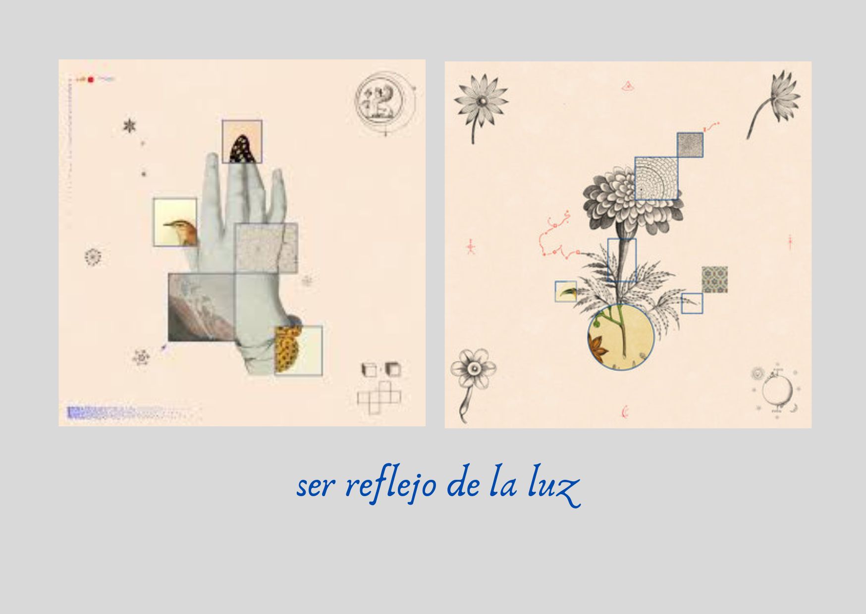 ser reflejo de la luz